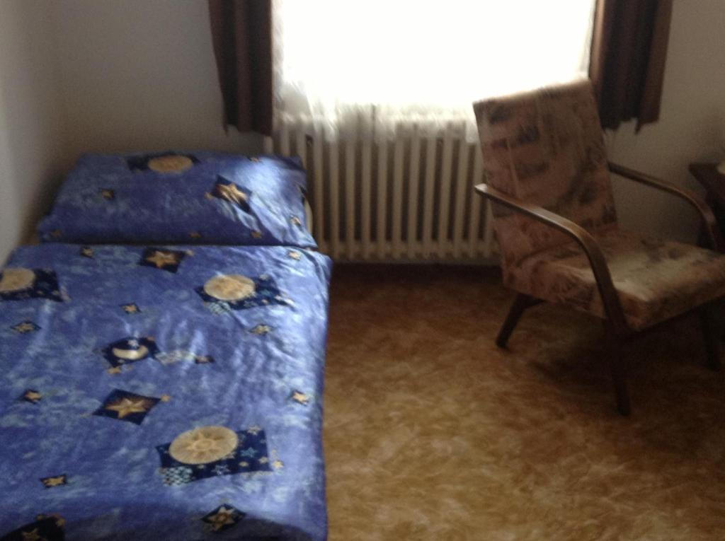 AT Pension Ceske Budejovice Ruang foto