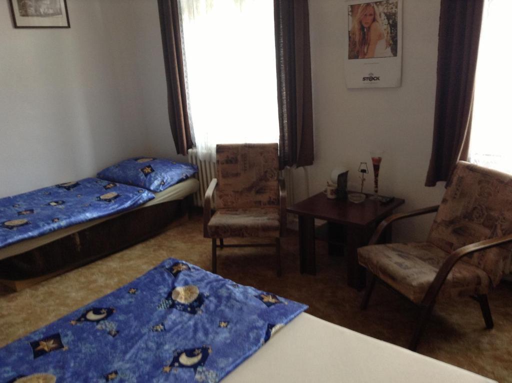 AT Pension Ceske Budejovice Ruang foto