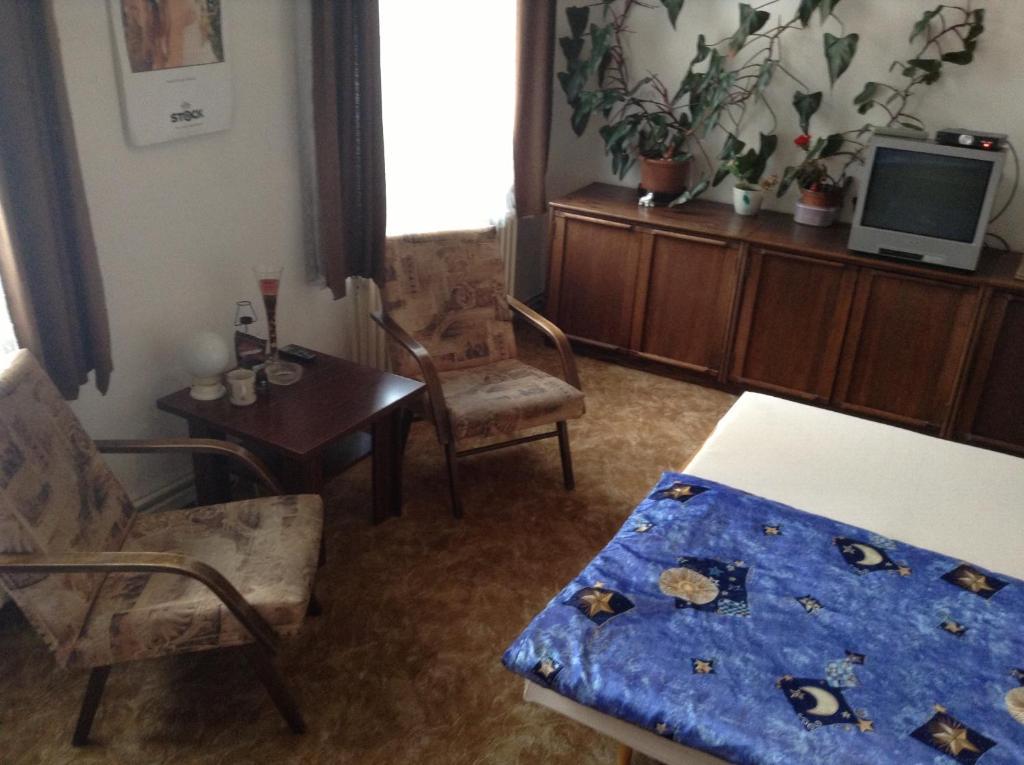 AT Pension Ceske Budejovice Ruang foto